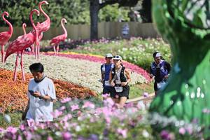 BIB: 
                            <button type="button" onclick="openModal(27793134)" class="btn btn-primary btn-sm float-right btn-popup" data-toggle="modal" data-target=".modal-high-quality">
                        <i class="fas fa-shopping-cart"></i> Add to Cart
                    </button>
                                            <button type="button" onclick="isThisMe(27793134, true)" class="btn btn-success btn-sm float-right btn-popup btn-isme hidden" data-toggle="tooltip" data-placement="bottom" title="นี่คือรูปของคุณใช่ไหม คลิกที่นี่เพื่อเอาเข้าอัลบั้ม">
                        <i class="fas fa-plus"></i> Add to album
                    </button>
                    <button type="button" onclick="isThisMe(27793134, false)" class="btn btn-warning btn-sm float-right btn-popup btn-isnotme hidden">
                        <i class="fas fa-ban"></i> Remove from album
                    </button>